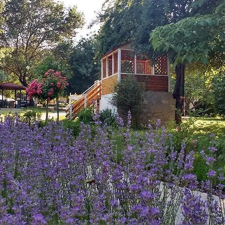 Campsite Zora - Obzor