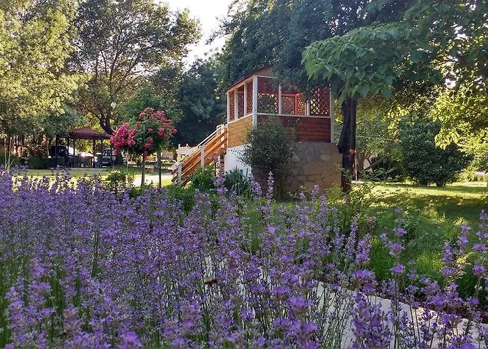 Campsite Zora - Obzor